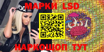прущий лед Гусев