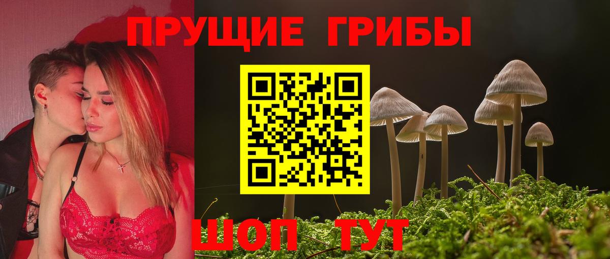 Лыткарино  закладка  Псилоцибиновые грибы Psilocybine cubensis  Вход с VPN  Псилоцибиновые грибы ЛСД 
